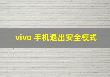 vivo 手机退出安全模式